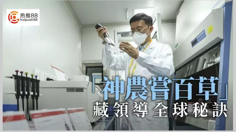 细胞培养基配方定制：标准规范与关键要点**