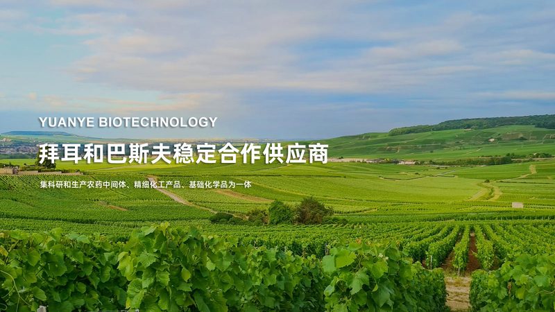 CDMO代工费用差异背后，藏着哪些定价逻辑