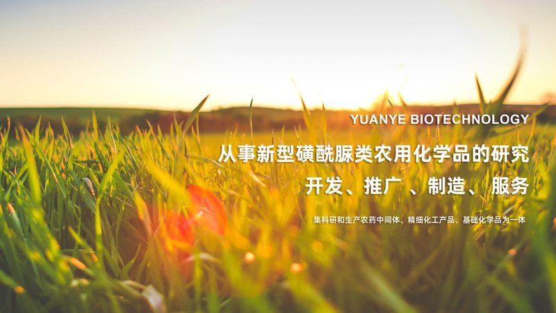 生物制品与化学药品：安全性的多维考量**