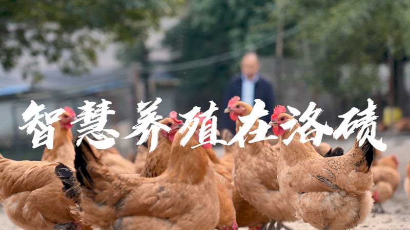 进口实验室耗材报关，这5步不可或缺