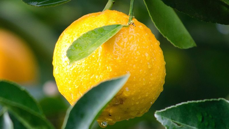 电商网站CRO优化效果评估：关键指标与实操解析