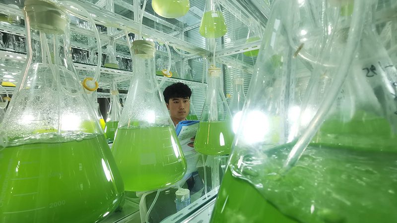 生物制品质量控制：揭秘行业标准背后的关键参数**
